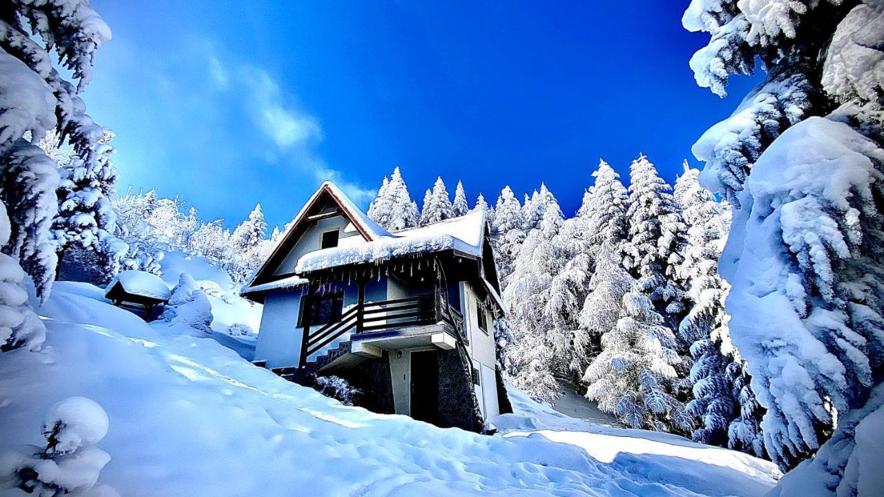 Mountain Cottage Lubomierz Lubomierz  Eksteriør billede